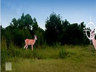 Fawn hunter online vadász játék